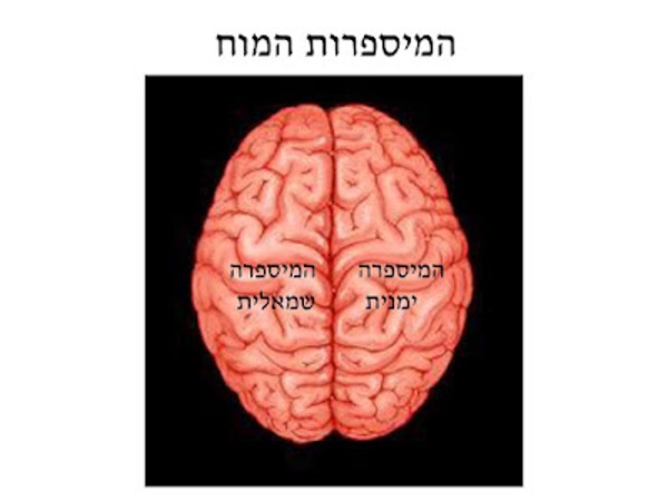 12 יתרונות של מפות חשיבה